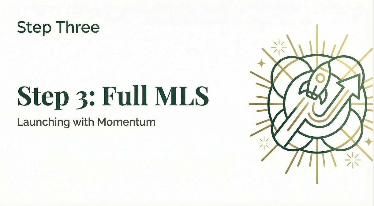 Step Three: Full Market Launch